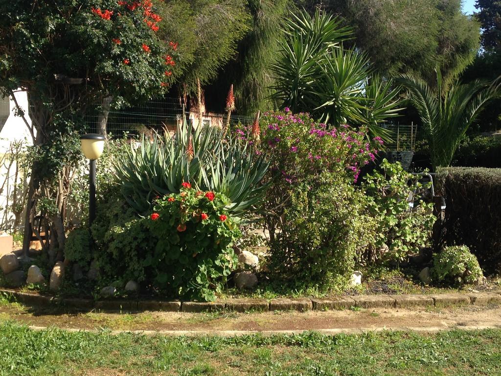 Villa Maresole A Capitana Extérieur photo